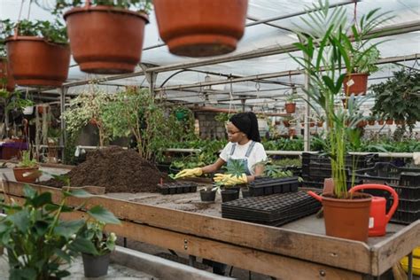 Plant Nursery Jobs How To Become A Plant Nursery Manager Ecogardener Plant Nursery Jobs How To Become A Plant Nursery Manager Ecogardener