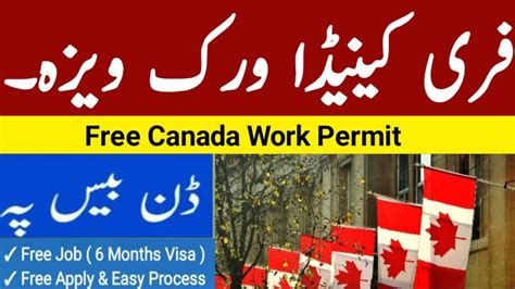 Remote Software Engineer Jobs Canada Salary Remote Software Engineer Jobs Canada Salary