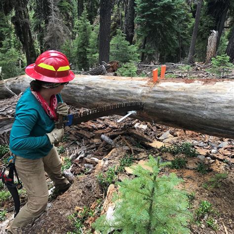 Rogue River Siskiyou National Forest Employment Rogue River Siskiyou National Forest Employment