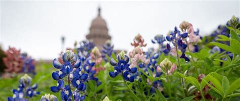 San Antonio Archives Texas Housers San Antonio Archives Texas Housers