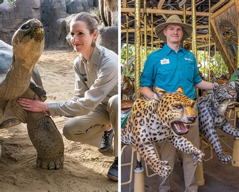 Sd Zoo Jobs