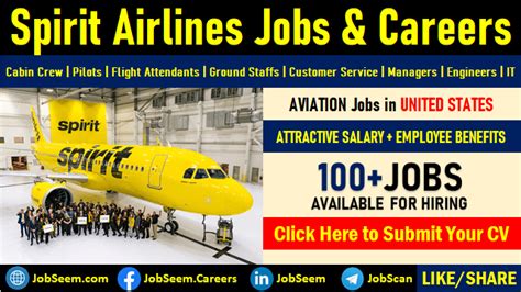 Spirit Airlines Job