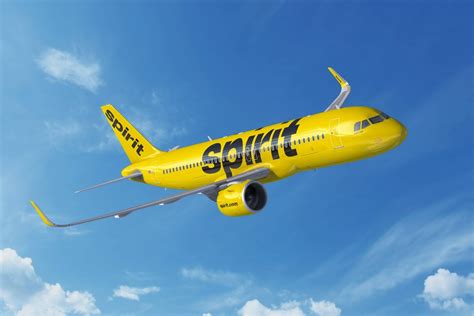 Spirit Airlines Pet Policy 2023 Rules For Dogs Cats And More Spirit Airlines Pet Policy 2023 Rules For Dogs Cats And More