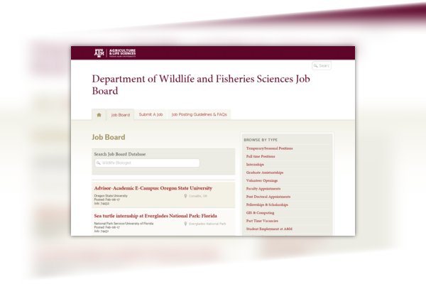 Texas A& M Job Board