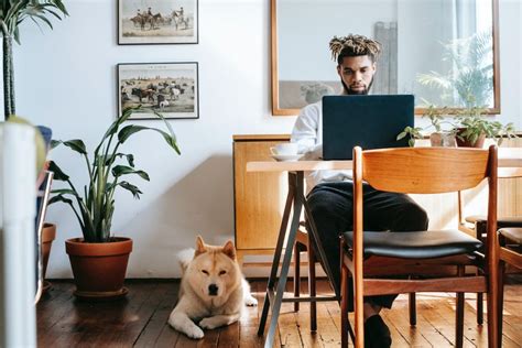 The Best Work From Home Jobs Without A Degree Bootcamprankings The Best Work From Home Jobs Without A Degree Bootcamprankings