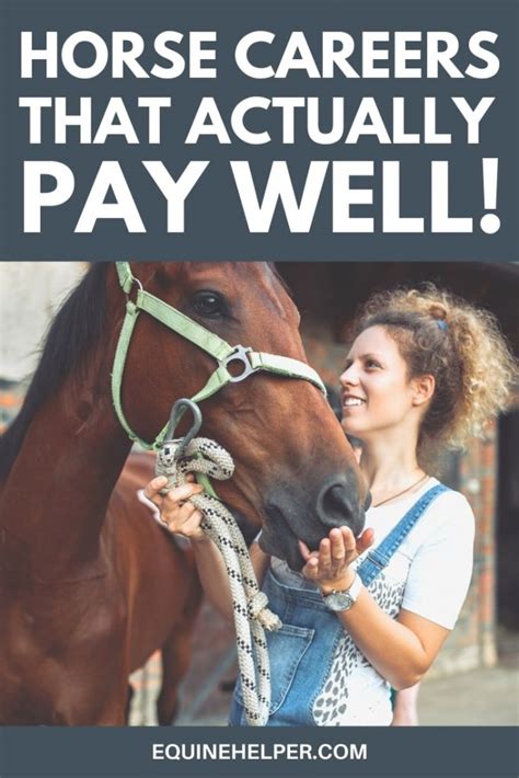 Top Horse Careers That Actually Pay Well