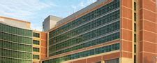 Uf Jobs Gainesville Fl