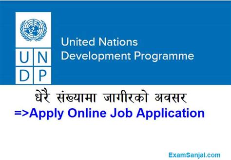 Undp Job Vacancy United Nations Development Program Job Apply Nepal Undp Job Vacancy United Nations Development Program Job Apply Nepal
