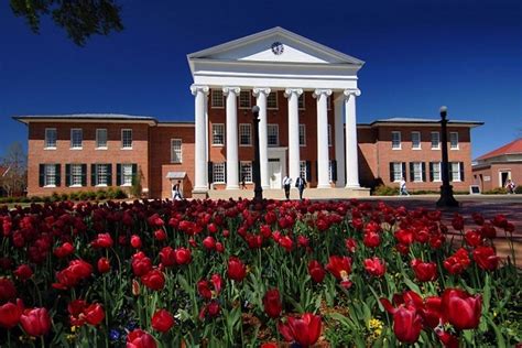 University Of Mississippi Job Postings