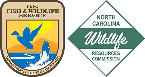 Us Department Of Fish And Wildlife Jobs