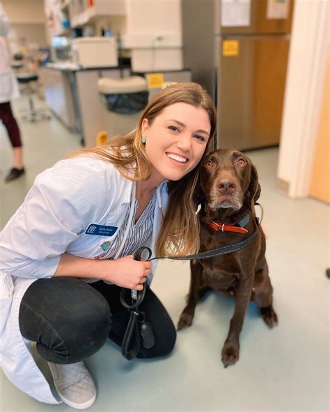 Vet Assistant Jobs Near Me