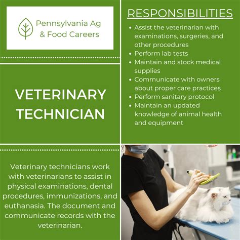 Vet Tech Job Postings