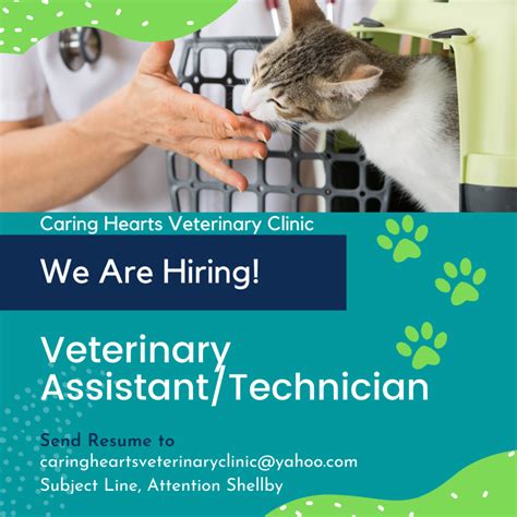 Veterinary Jobs Near Me