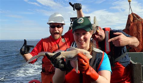 Wa State Fish And Wildlife Jobs