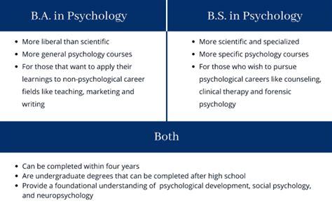 What Can You Do With A Bachelor Amp 39 S Degree In Psychology What Can You Do With A Bachelor Amp 39 S Degree In Psychology