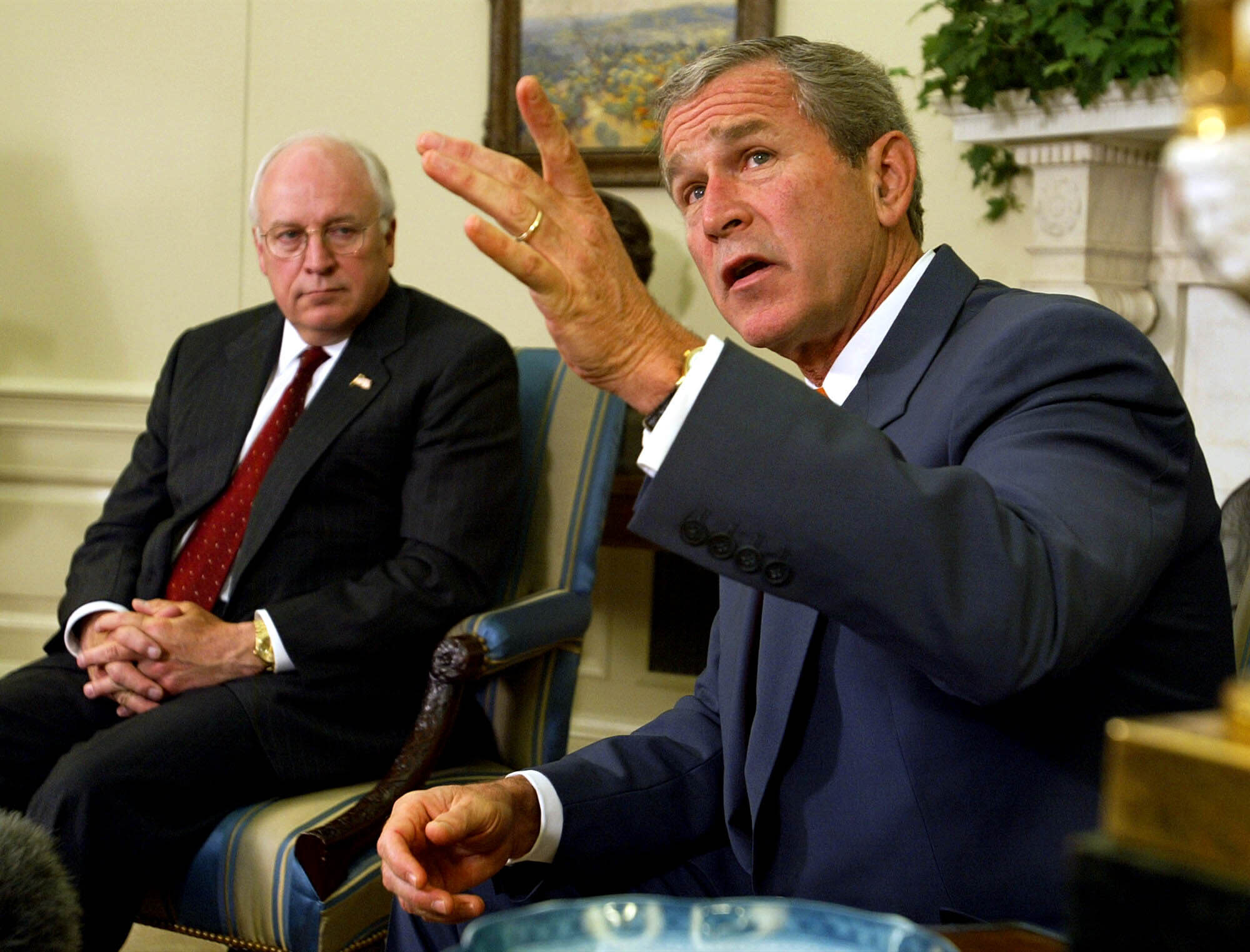 What Is A Vice President's Job