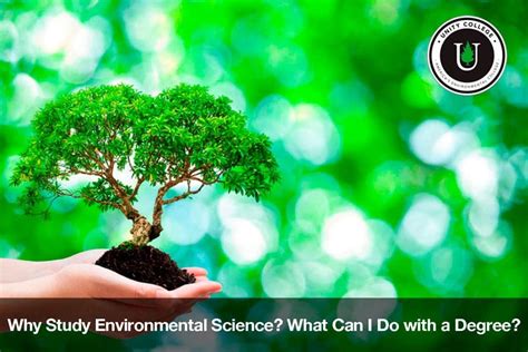 Why Study Environmental Science Unity Environmental University Why Study Environmental Science Unity Environmental University