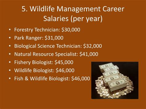 Wildlife Management Jobs