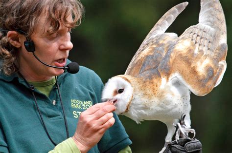 Woodland Park Zoo Jobs Woodland Park Zoo Jobs
